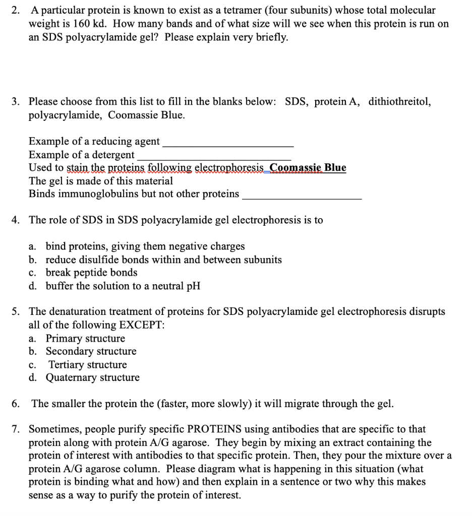 Solved 2 A Particular Protein Is Known To Exist As A Chegg Com