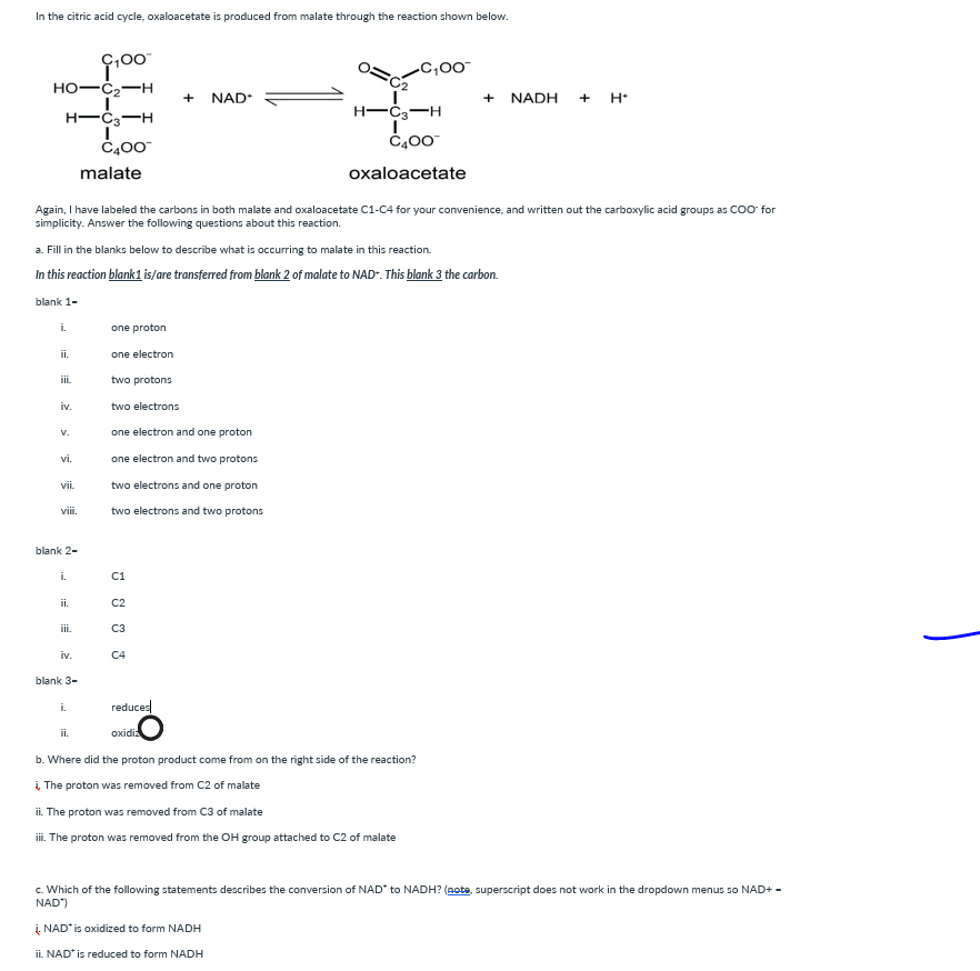 Solved In the citric acid cycle, oxaloacetate is produced | Chegg.com