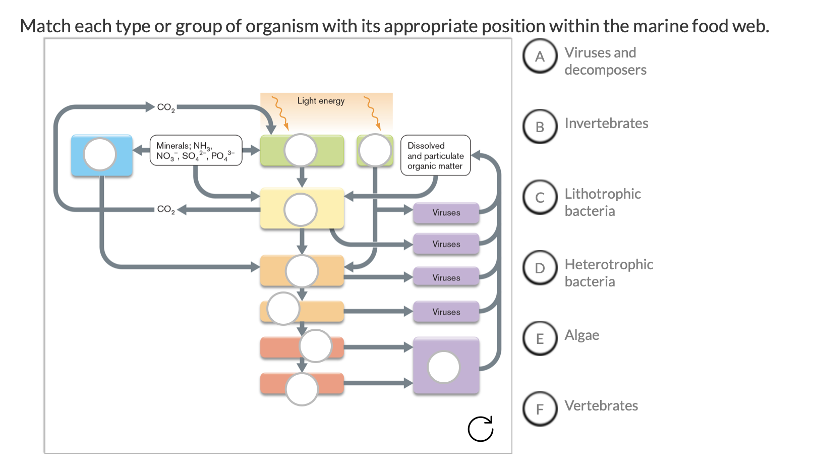 Match each group. Match each group