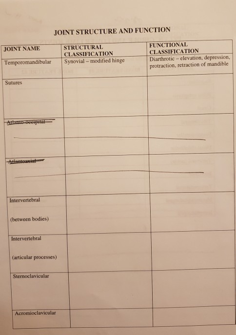 Solved Joint Structure And Function Joint Name Structural Chegg