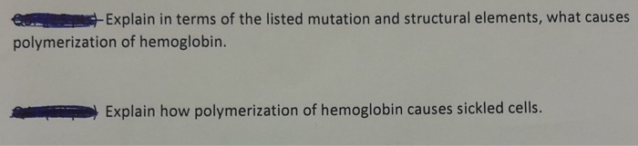 Solved Explain in terms of the listed mutation and | Chegg.com