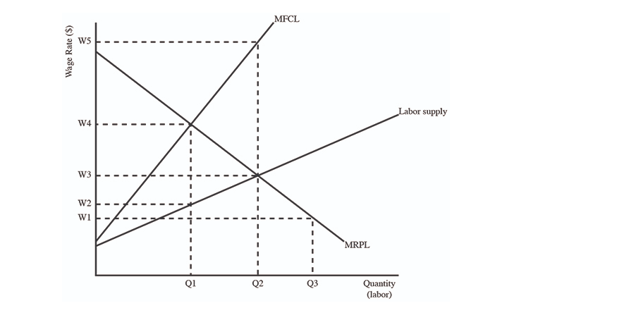 Solved 14. (05.04 MC) The graph below represents the labor | Chegg.com