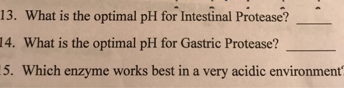 Solved 13. What is the optimal pH for Intestinal Protease? | Chegg.com