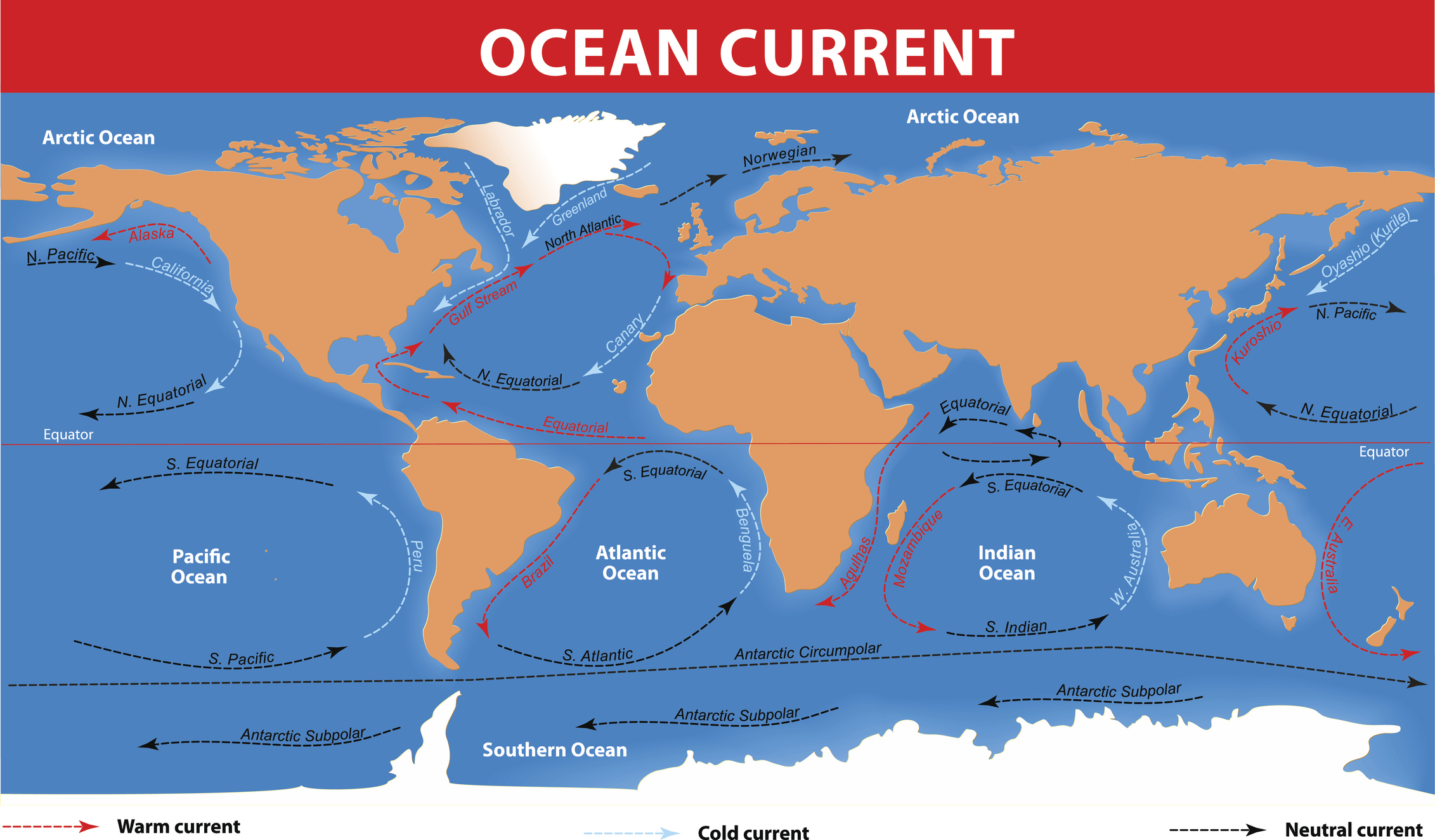 Solved Ocean Circulation Lab Report IntroductionScientists | Chegg.com