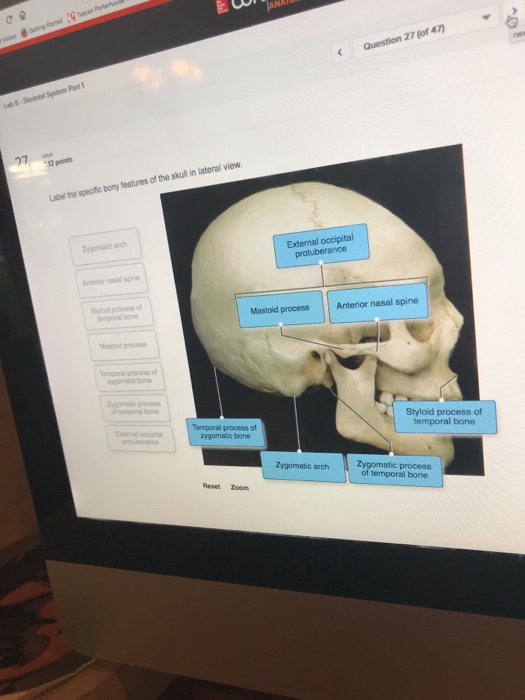 Solved: Question 27 (ot 47 12 Points Label The Specific Bo... | Chegg.com