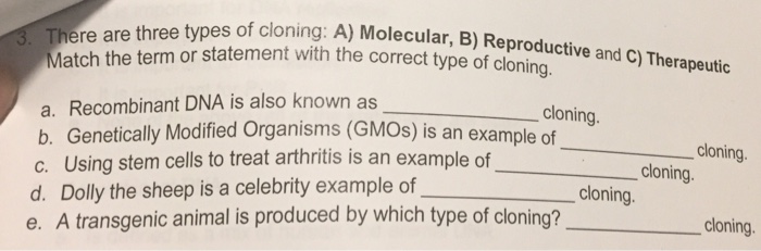 Solved Of Cloning: A) Molecular, B) Reproductive And C) | Chegg.com