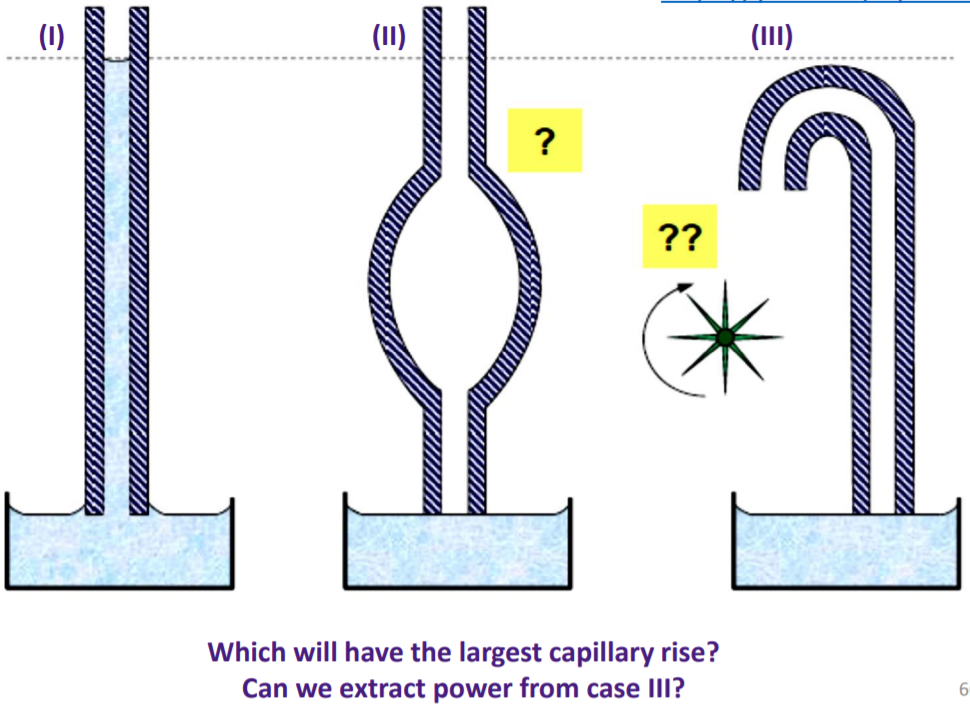 Which will have the largest capillary rise? Can we | Chegg.com