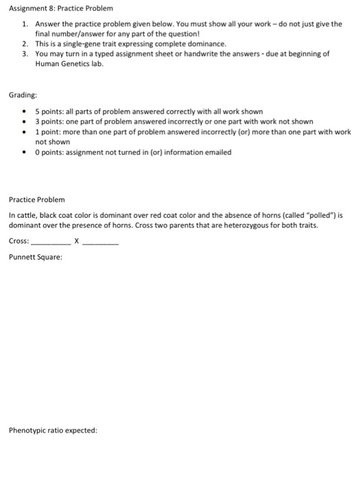 Solved Assignment 8: Practice Problem Answer the practice | Chegg.com