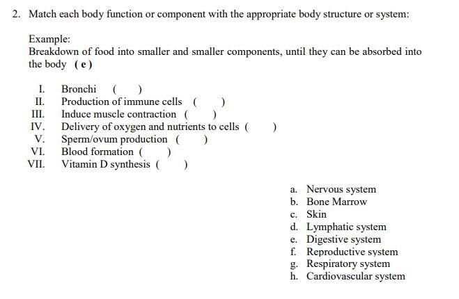 Solved 2 Match Each Body Function Or Component With The Chegg Com