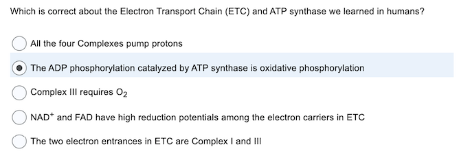 Solved Which is correct about the Electron Transport Chain | Chegg.com