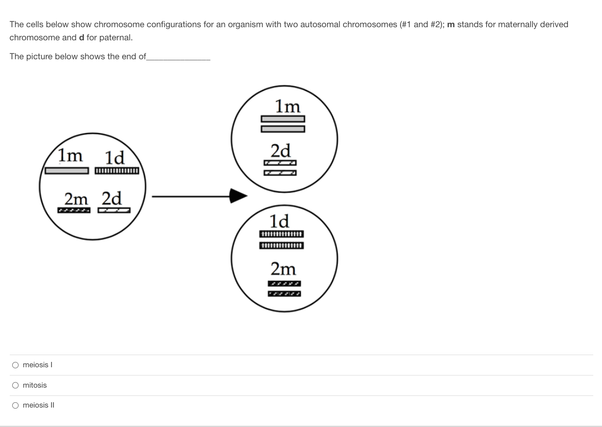 Solved The cells below show chromosome configurations for an | Chegg.com