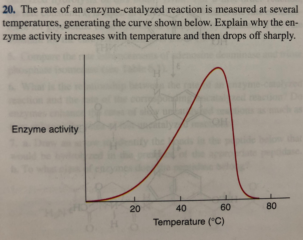 Solved 20. The rate of an enzyme-catalyzed reaction is | Chegg.com