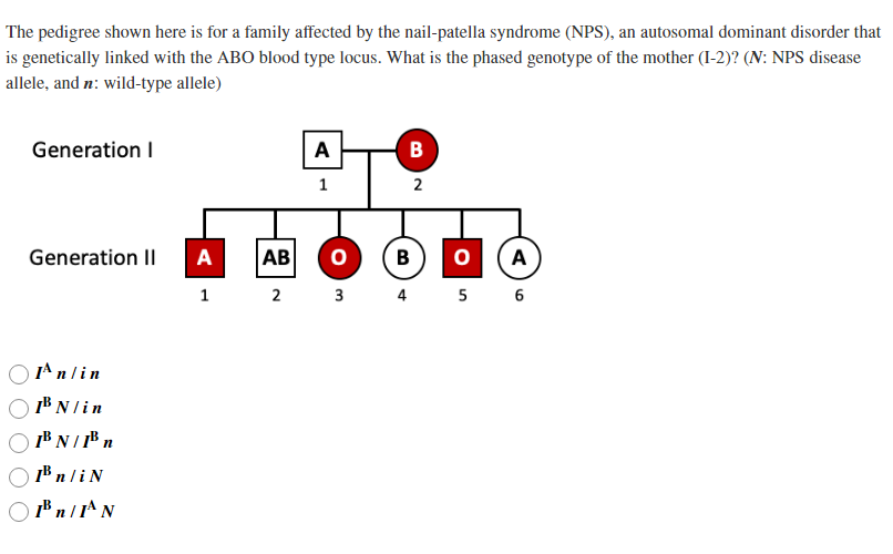 The pedigree shown here is for a family affected by the nail-patella syndrome (NPS), an autosomal dominant disorder that is g