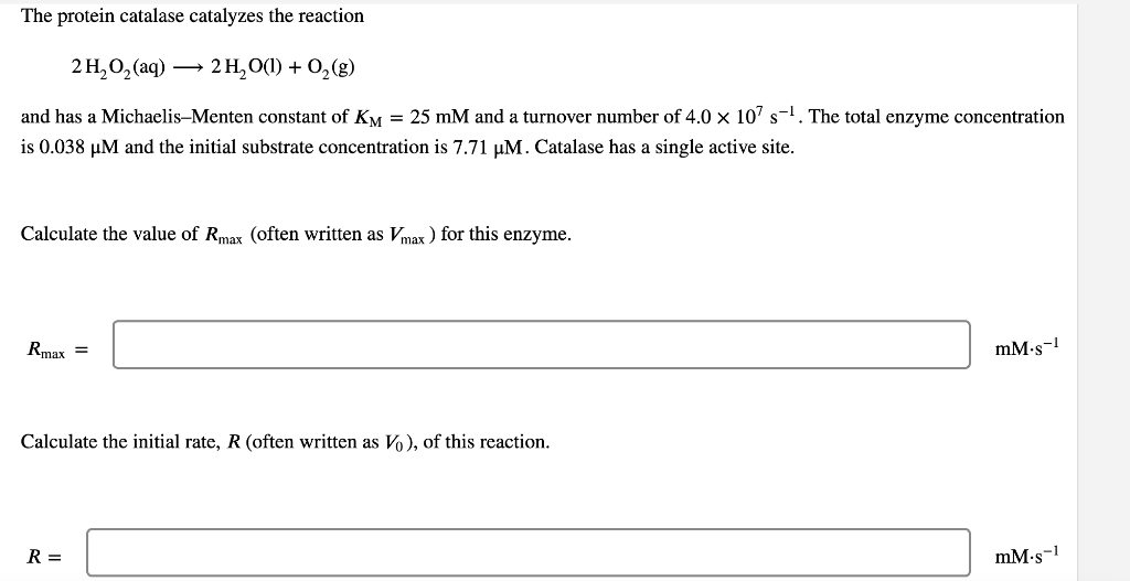 Solved The protein catalase catalyzes the | Chegg.com