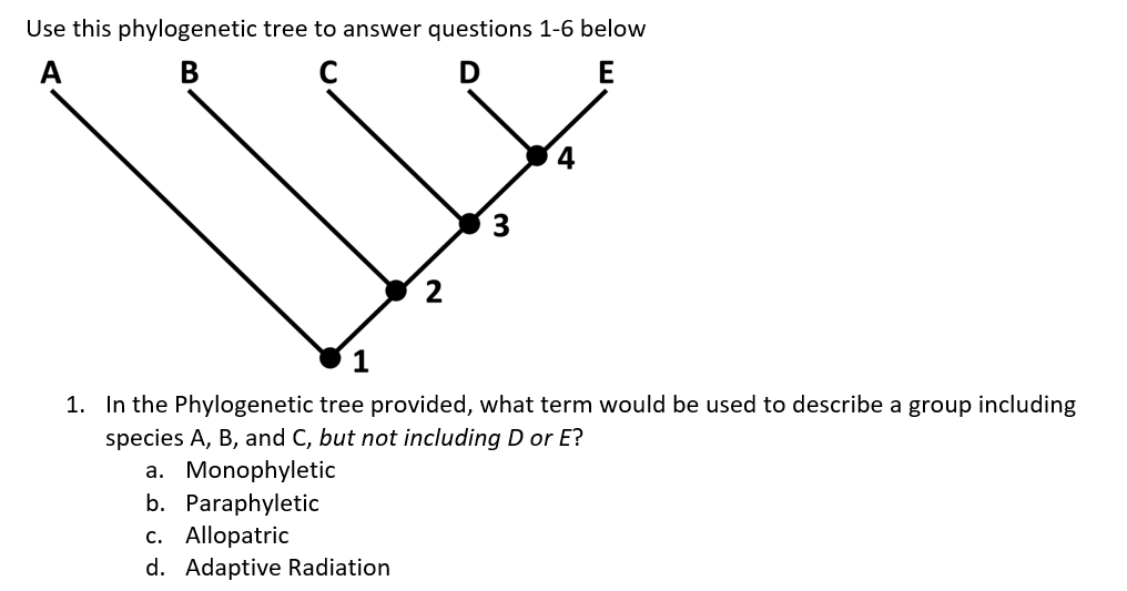 Solved Use This Phylogenetic Tree To Answer Questions 1-6 | Chegg.com