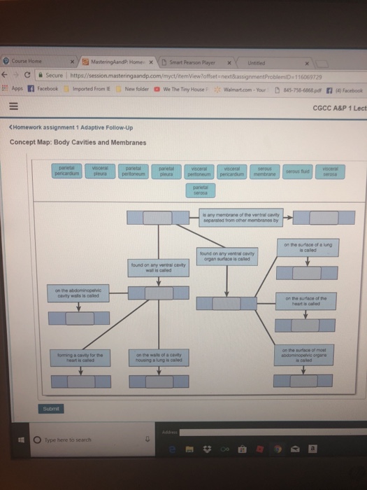 Body Cavities Concept Map