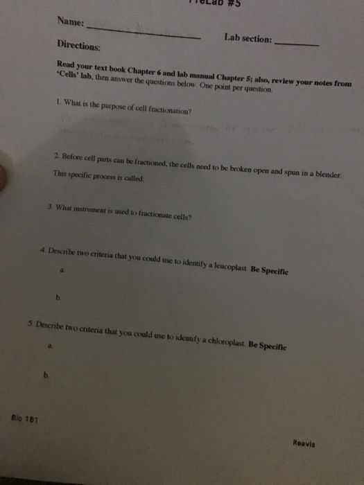 Solved Name: Directions: Read your text book Chapter 6 and | Chegg.com