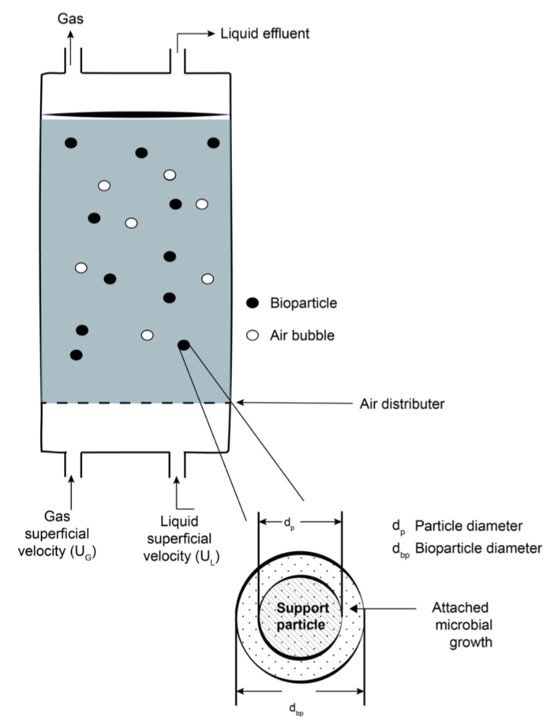 Problem statement A threephase fluidized bed