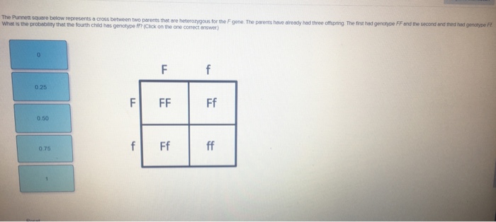 Solved The Punnett square below represents a cross between | Chegg.com