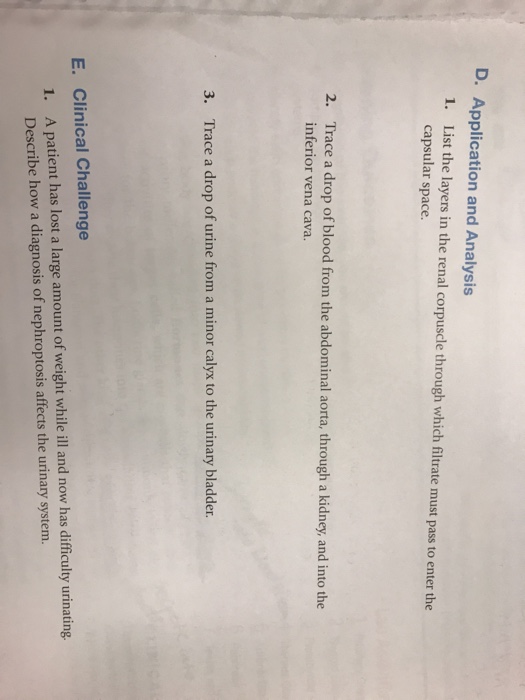 Solved D. Application and Analysis 1. List the layers in | Chegg.com
