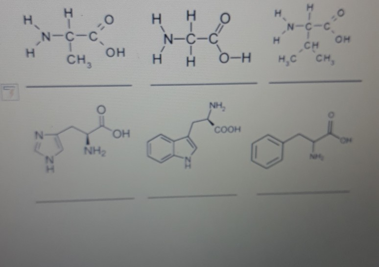 Solved H H N-C-C H O N-C-C H H H H N-C-C H CH H-O H,C CH OH | Chegg.com