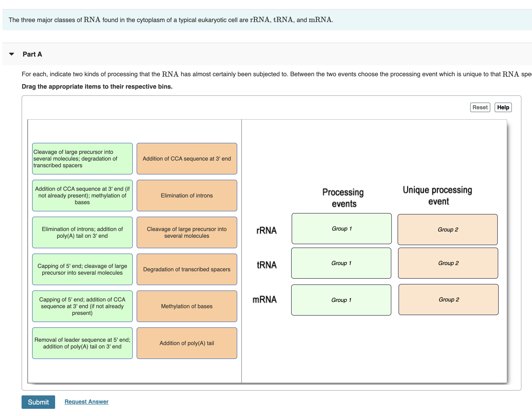 Solved For each, indicate two kinds of processing that the | Chegg.com