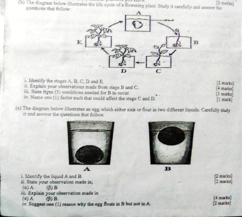 Solved (b) The Diagrams Below Illustrates The Life Cycle Of | Chegg.com