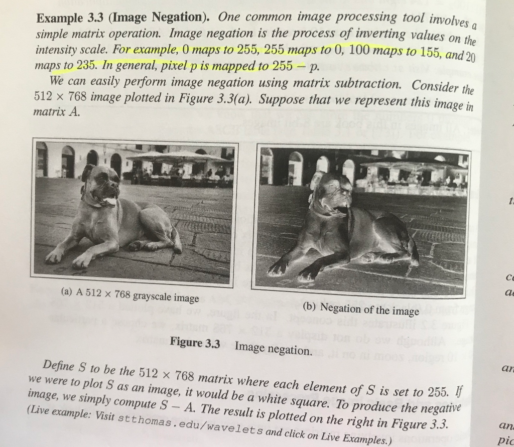Solved Example 3.3 (Image Negation). One common image | Chegg.com