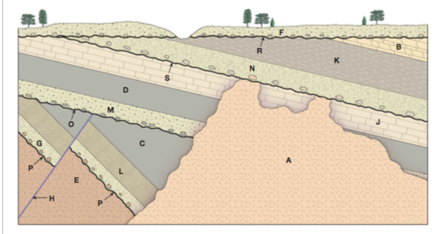 Solved 1. if rock E is igneous and rock G is sedimentary, | Chegg.com
