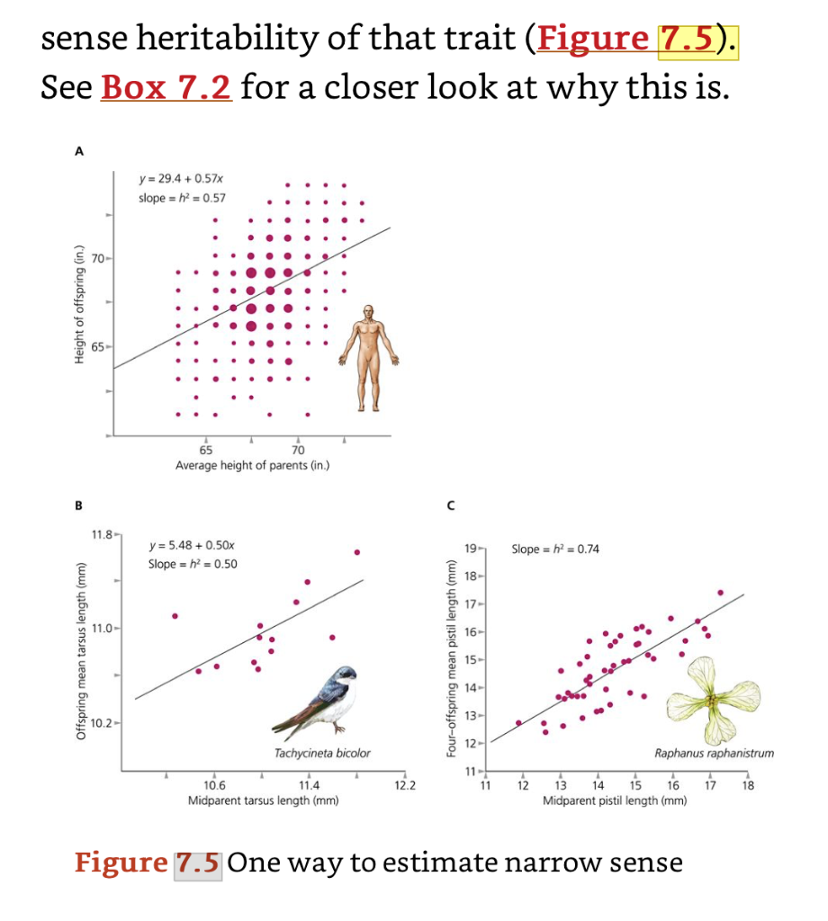 Solved Exercise 2: Figure 7.5 Textbook: Which of the | Chegg.com
