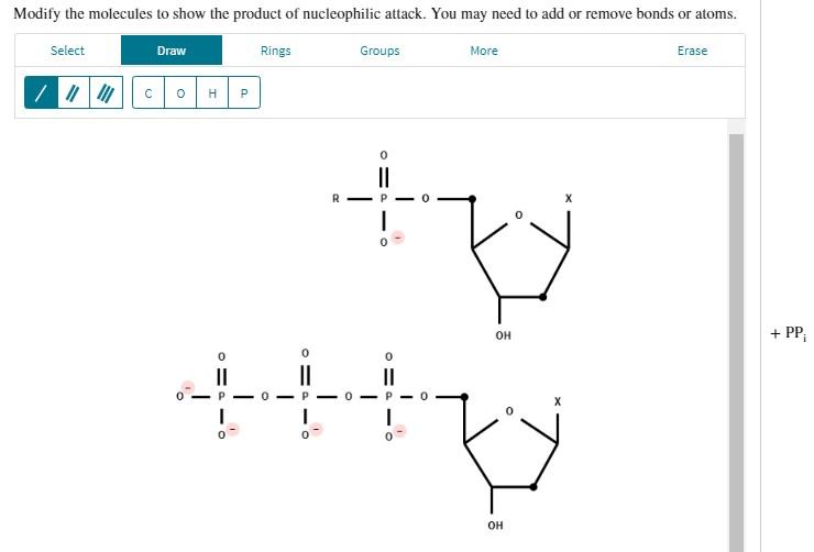 Solved Nucleotides add to the 3′ end of a growing DNA chain | Chegg.com
