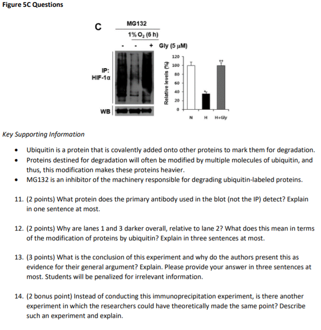 You are asked to lead and present at journal club 