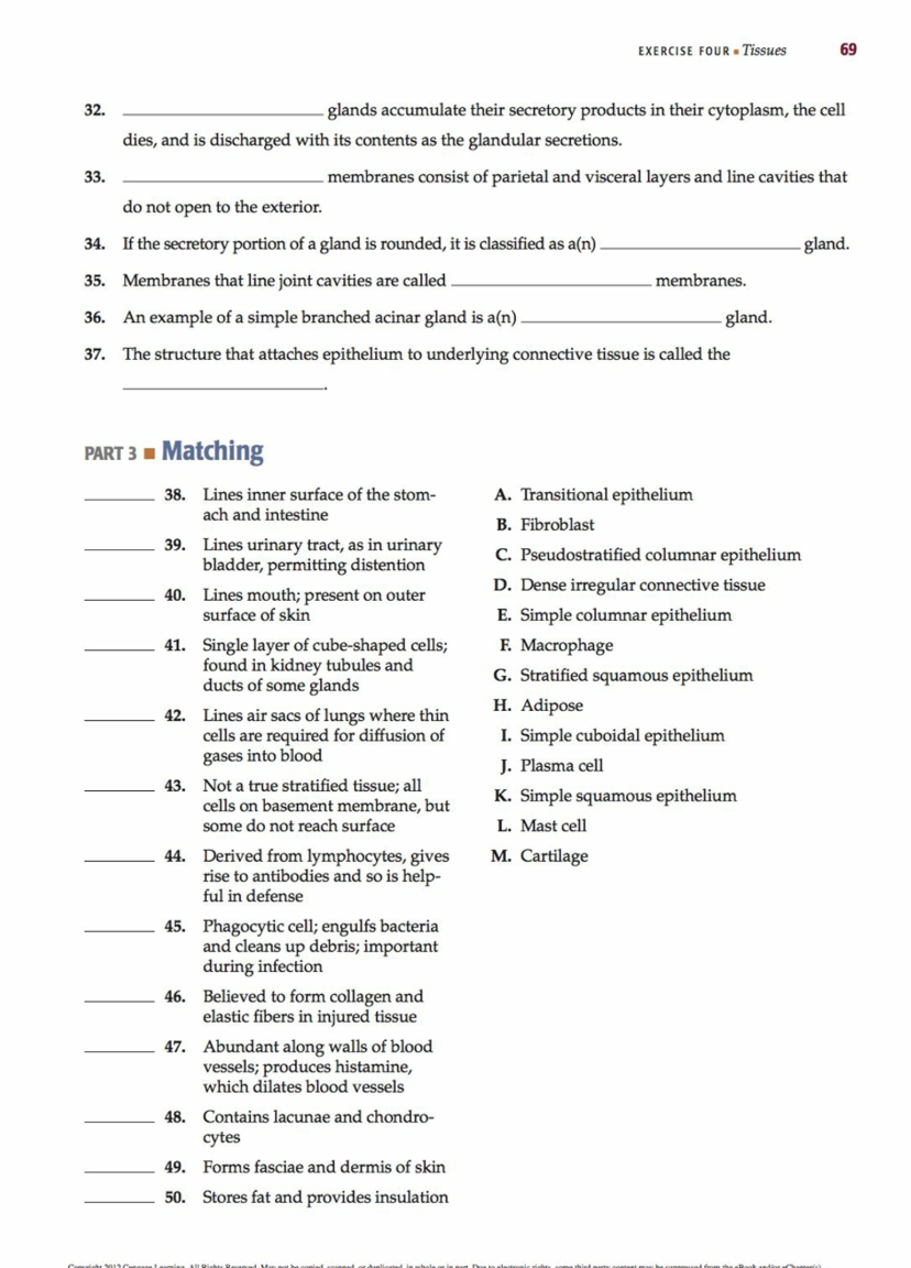 LABORATORY REPORT QUESTIONS EXERCISE 4 Tissues Name | Chegg.com