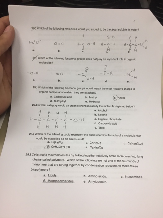 Solved 2M which of the following molecules would you expect | Chegg.com