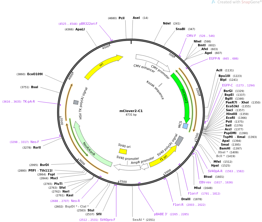 Solved Edit Question Use The Photos Of Plasmid A And B To | Chegg.com