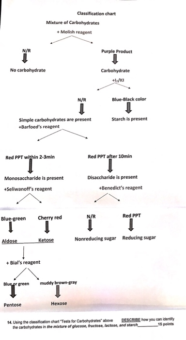 Solved Using the classification chart 