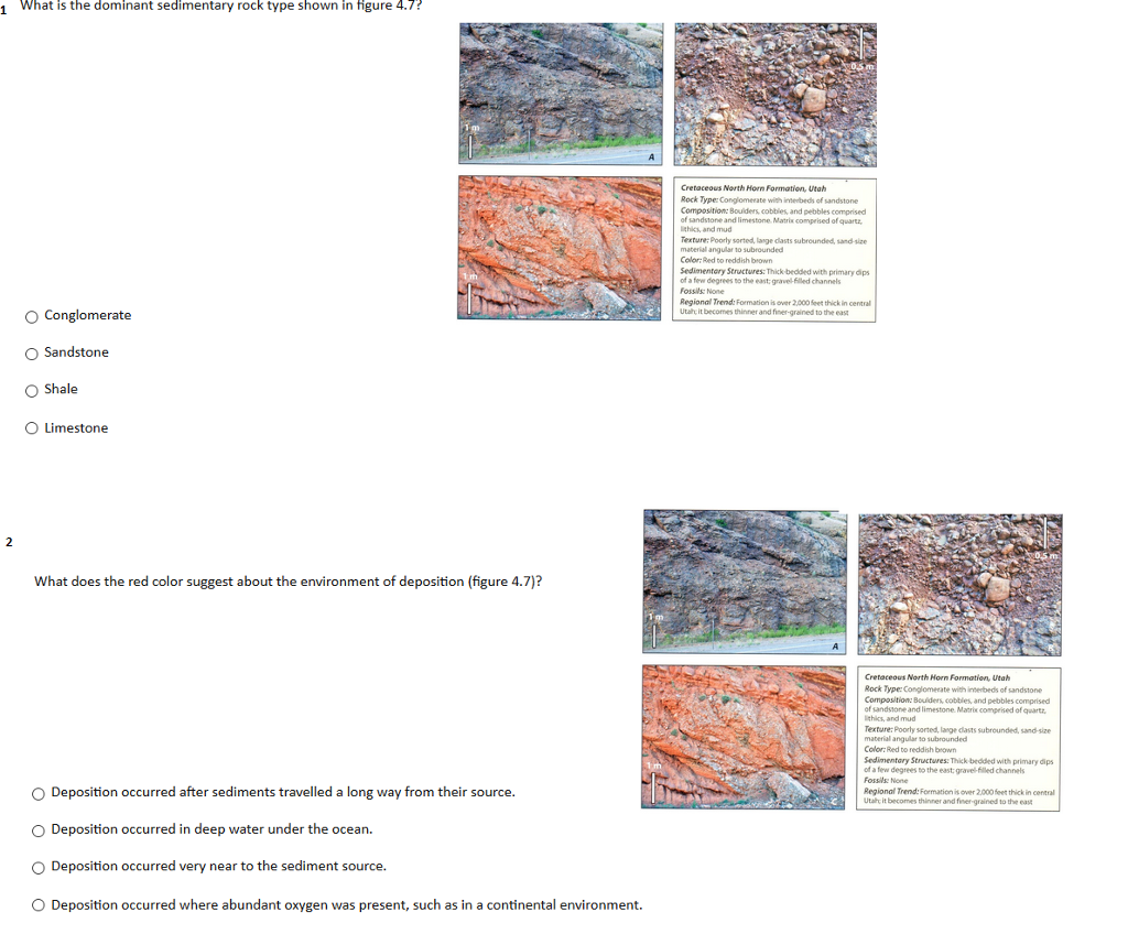Solved What is the dominant sedimentary rock type shown in