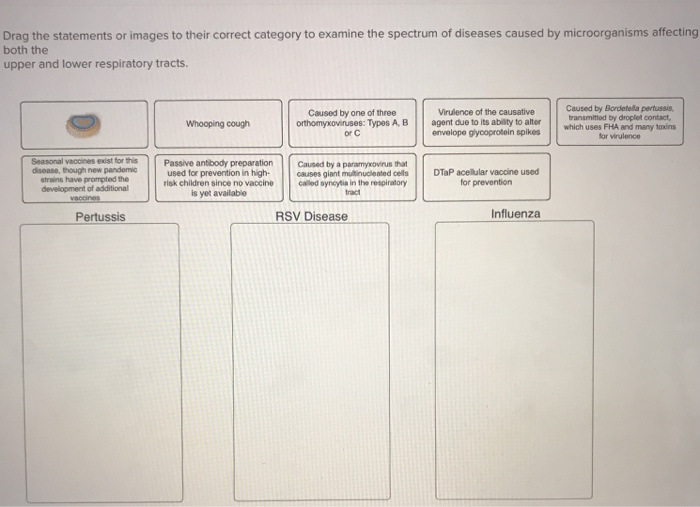 Solved Drag the statements or images to their correct