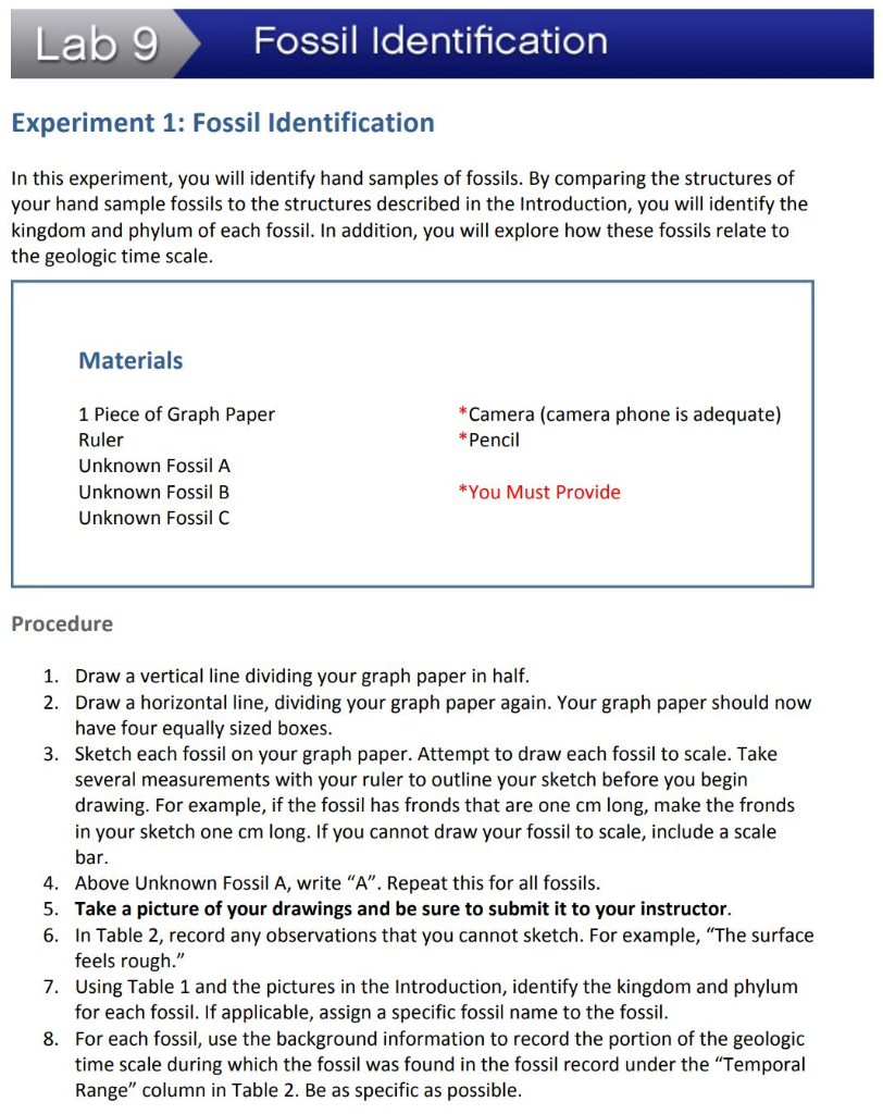 Solved Lab 9 Fossil Identification Experiment 1 Fossil