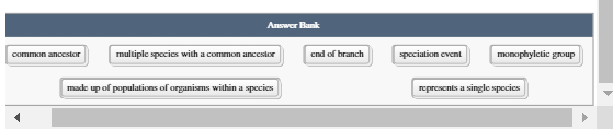 Solved The phylogenetic tree shows the evolutionary | Chegg.com
