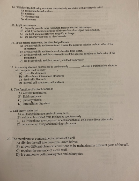 which of the following structures is exclusively associated with prokaryotic cells