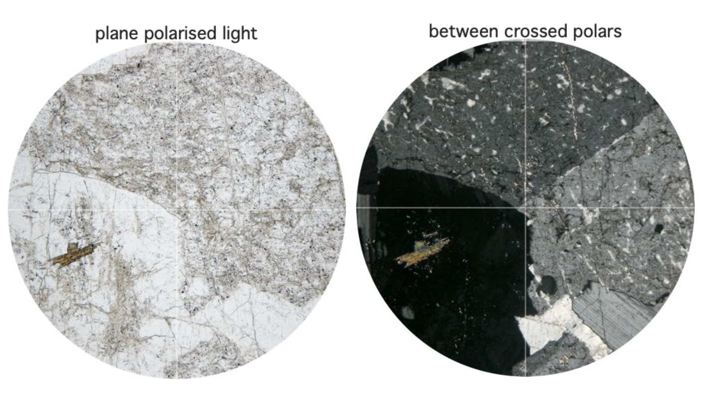 Solved plane polarised light between crossed polars | Chegg.com