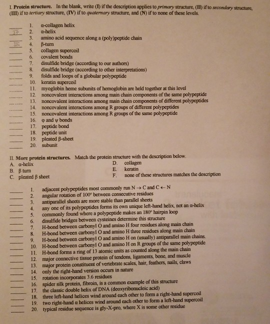 Solved I Protein structure. In the blank, write (T) if the | Chegg.com