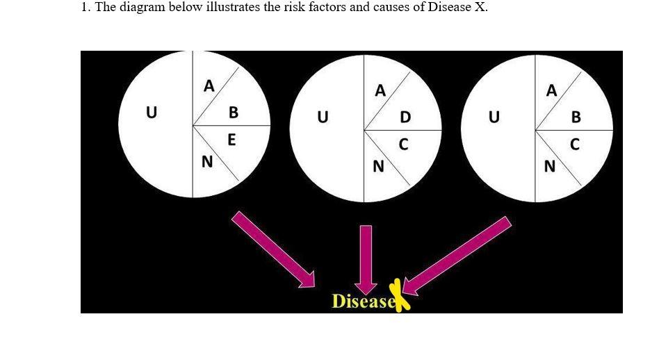 Solved 1. The diagram below illustrates the risk factors and | Chegg.com