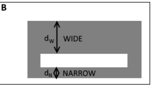 Solved B dN (1) NARROWAgain in figure 6.1B, how should the | Chegg.com