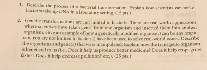 Solved 1. Descri be the process of a bacterial | Chegg.com