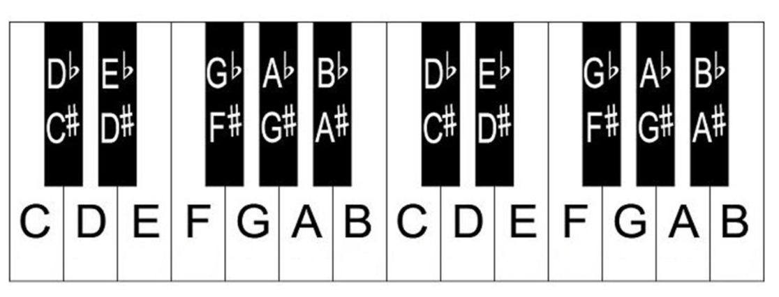 Solved I am trying to add two pictures to this code for | Chegg.com