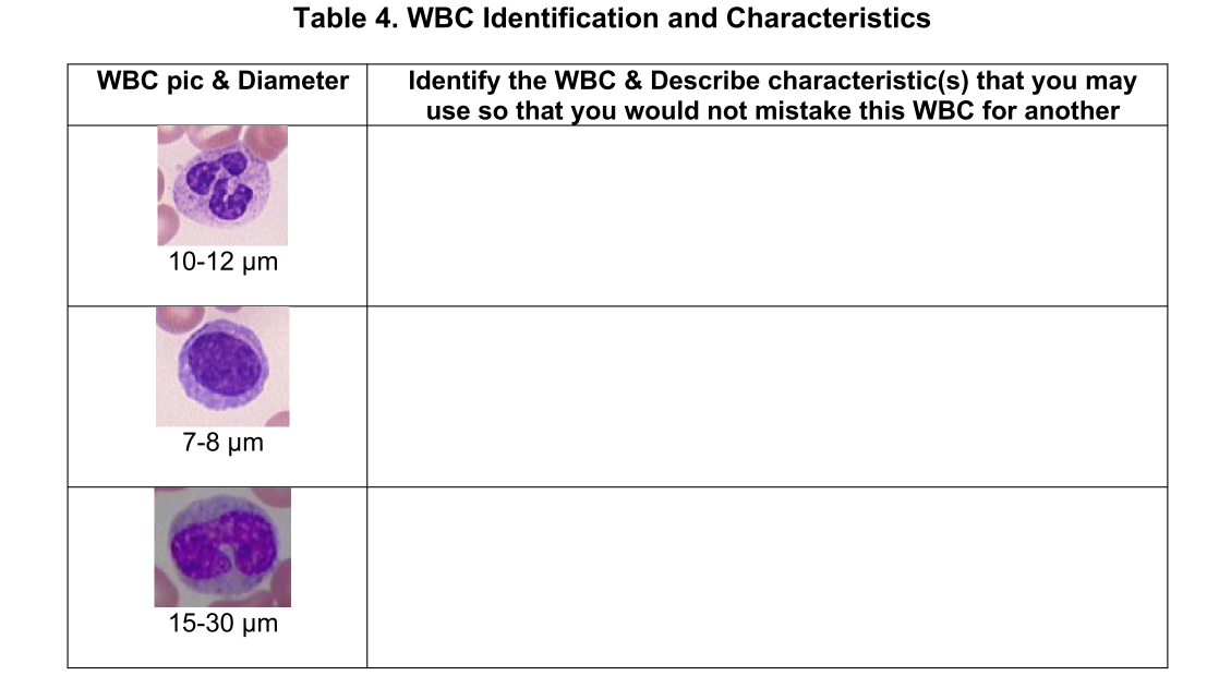 Solved Table 4. WBC Identification and Characteristics WBC | Chegg.com