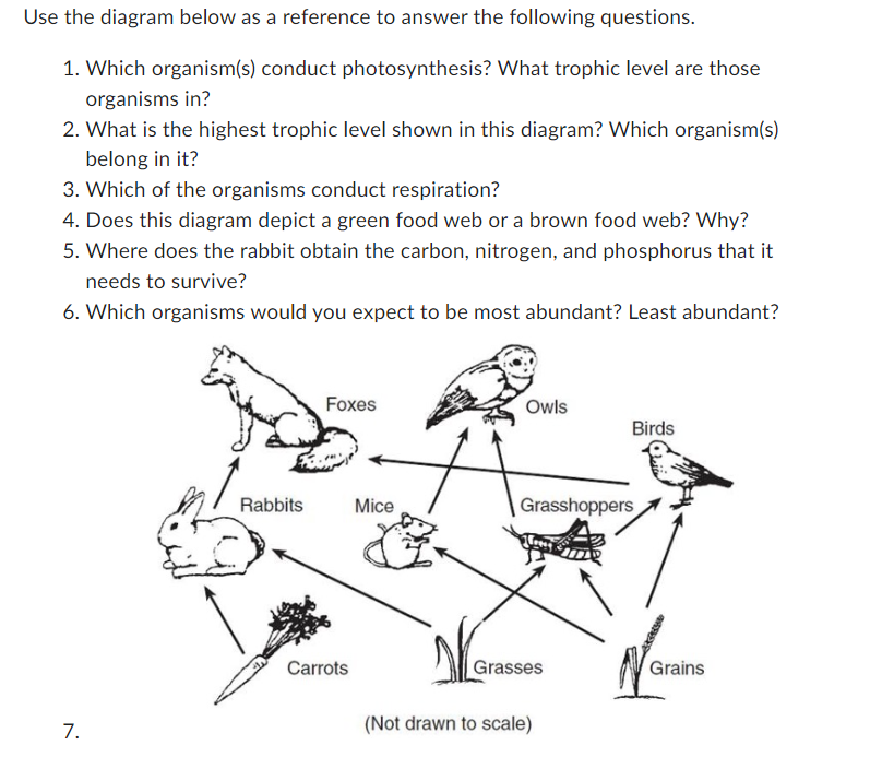 Solved Use the diagram below as a reference to answer the | Chegg.com