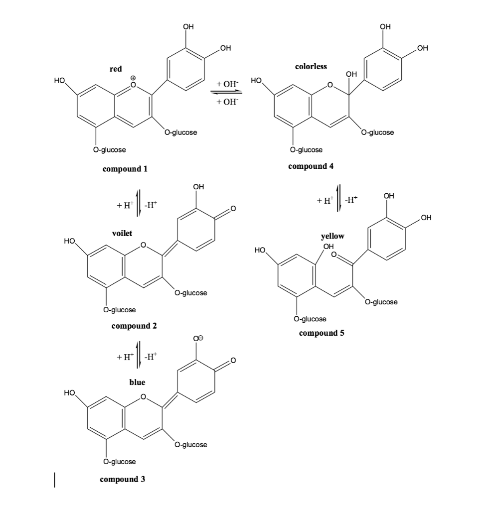 Solved Cyanidin is the moiety of pigment molecules that is | Chegg.com